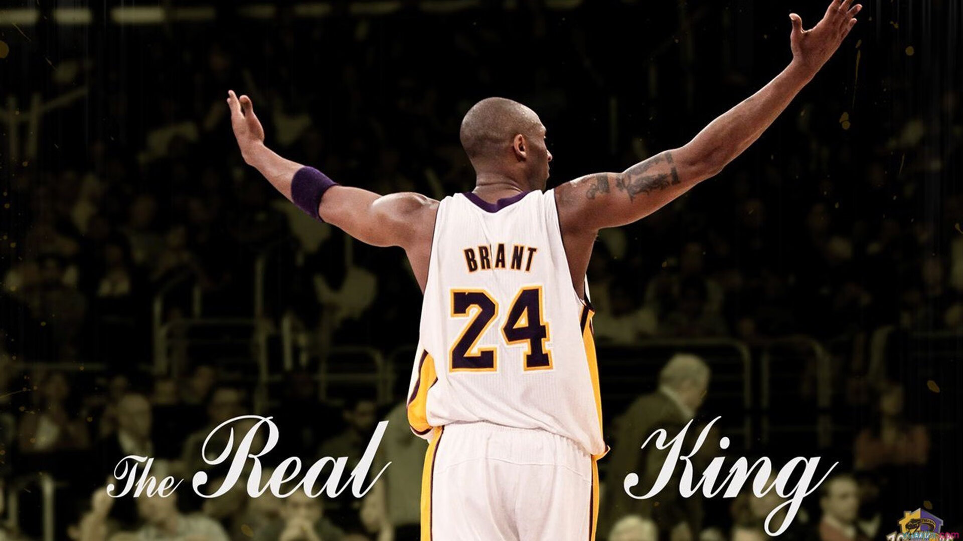 网球焦点：双打组合夺冠，搭档默契成胜负关键，网球双打阵型