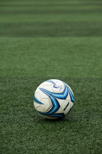 AYX体育-高校体育赛事应急管理体系构建，体育赛事应急预案细则